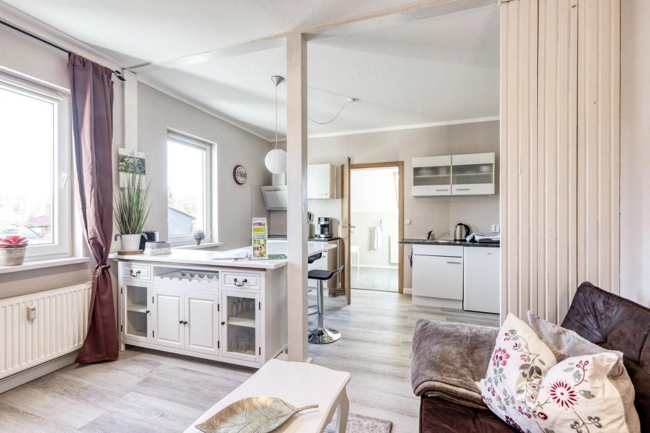 Apartment Ziesing Friedrichsbrunn Thale